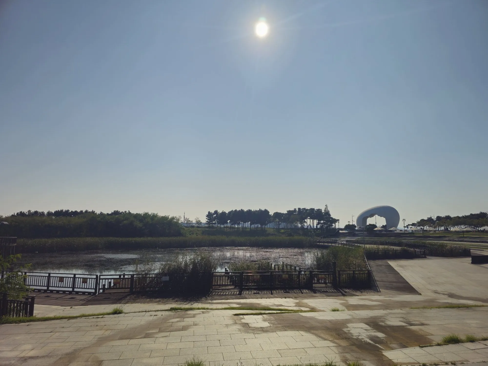 A reed-fringed pond at Jeongseojin under a hazy morning sun, with the white Sunset Bell sculpture in the distance