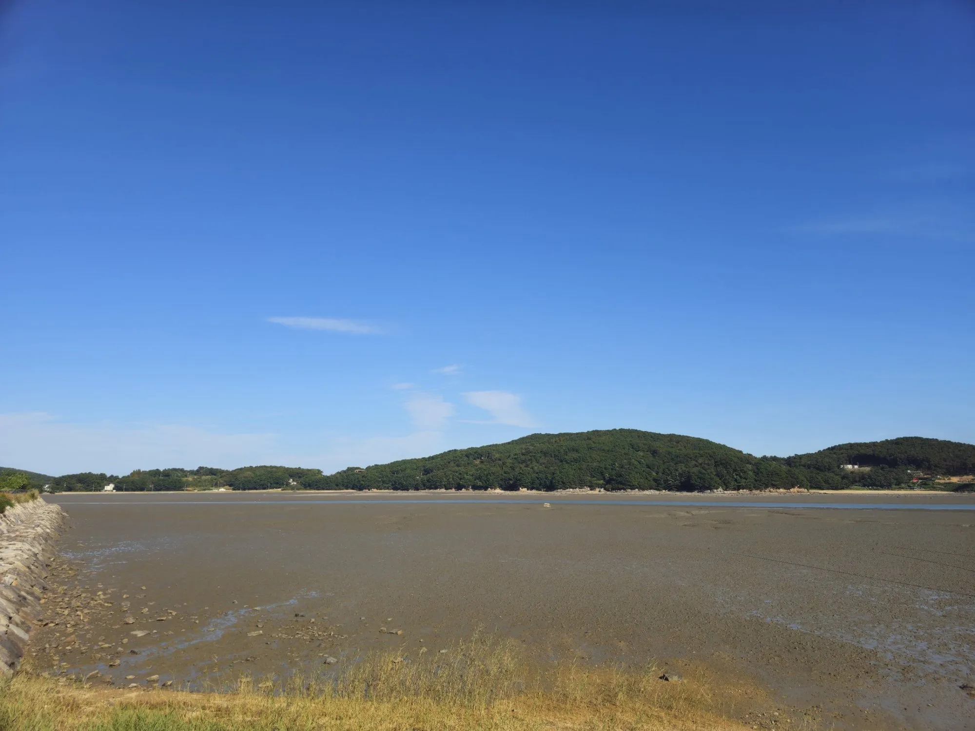 Wide tidal flat on Modo at low tide, with a green forested hill on the far side
